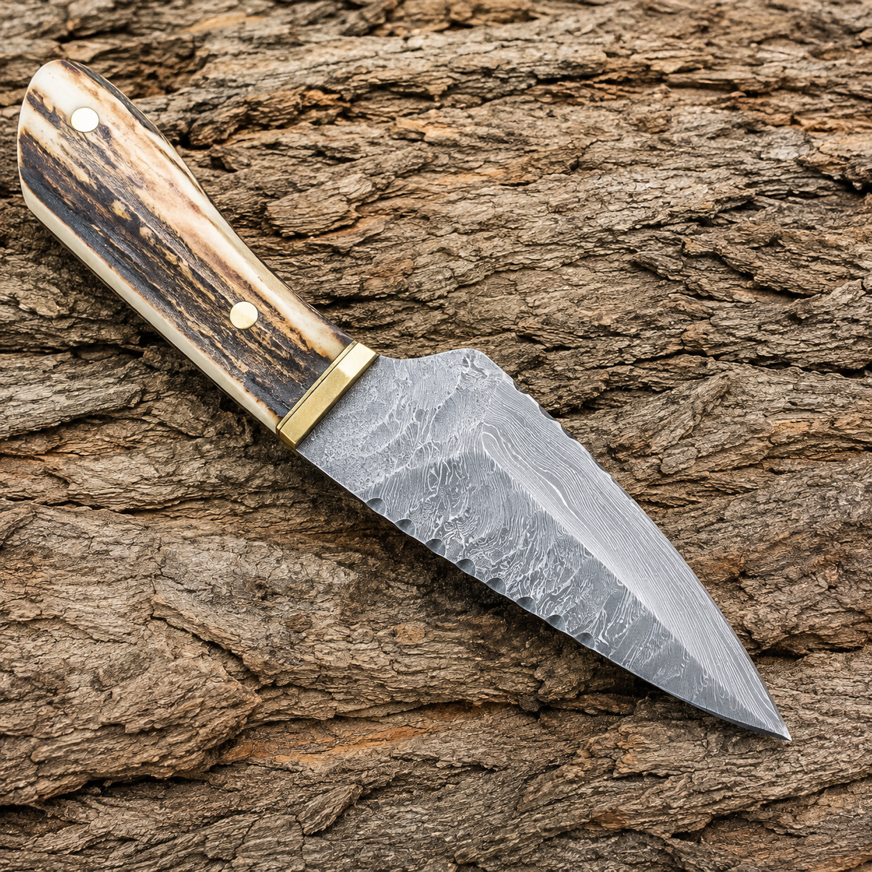 Damascus Drop Point Knife with Stag Horn Handle – Elegance Meets Edge